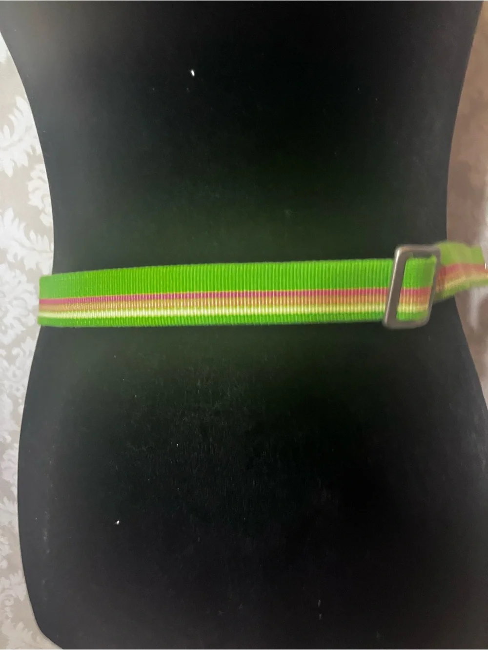 J Crew green and pink striped fabric belt metallic D-ring closure - Picture 3 of 9